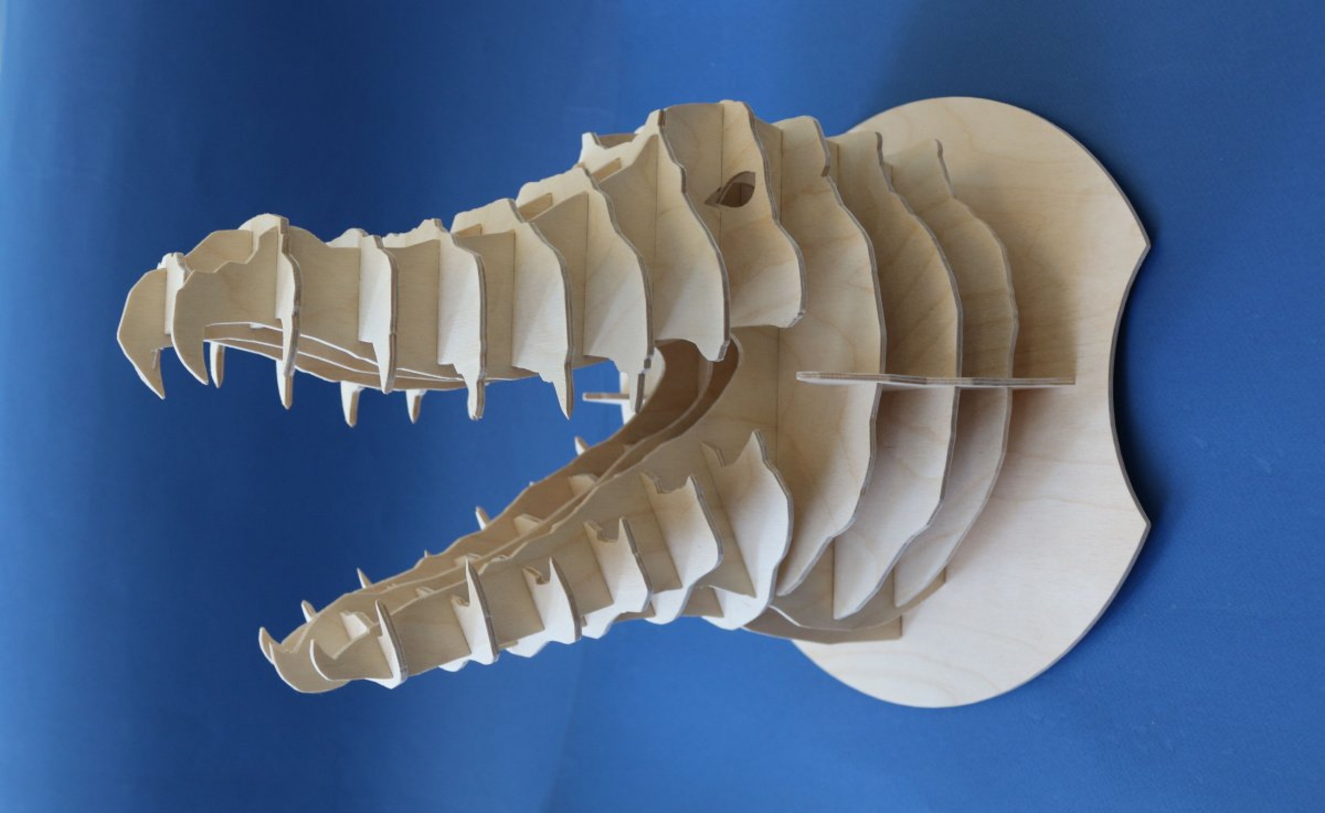 Голова Крокодила