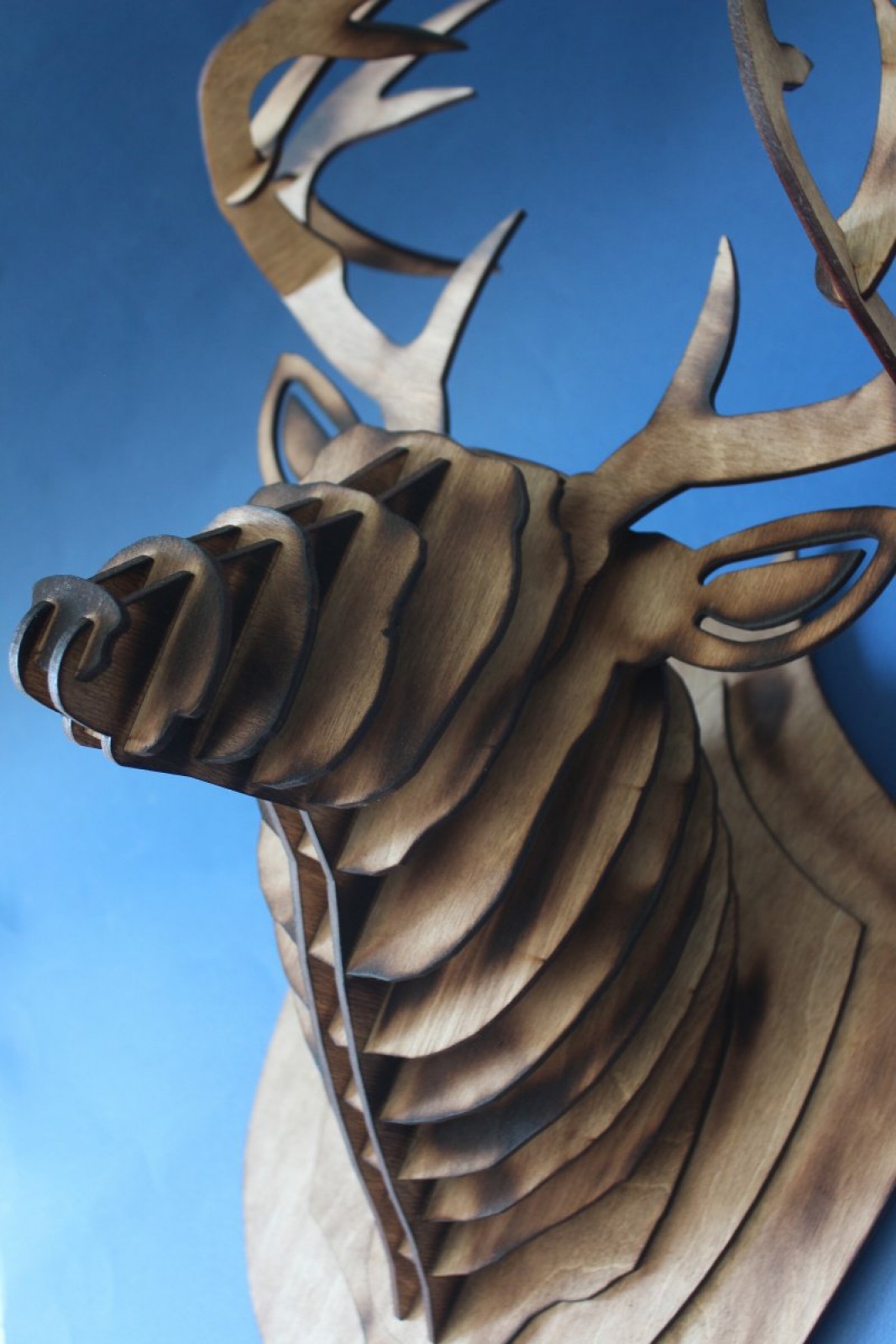 Голова Оленя