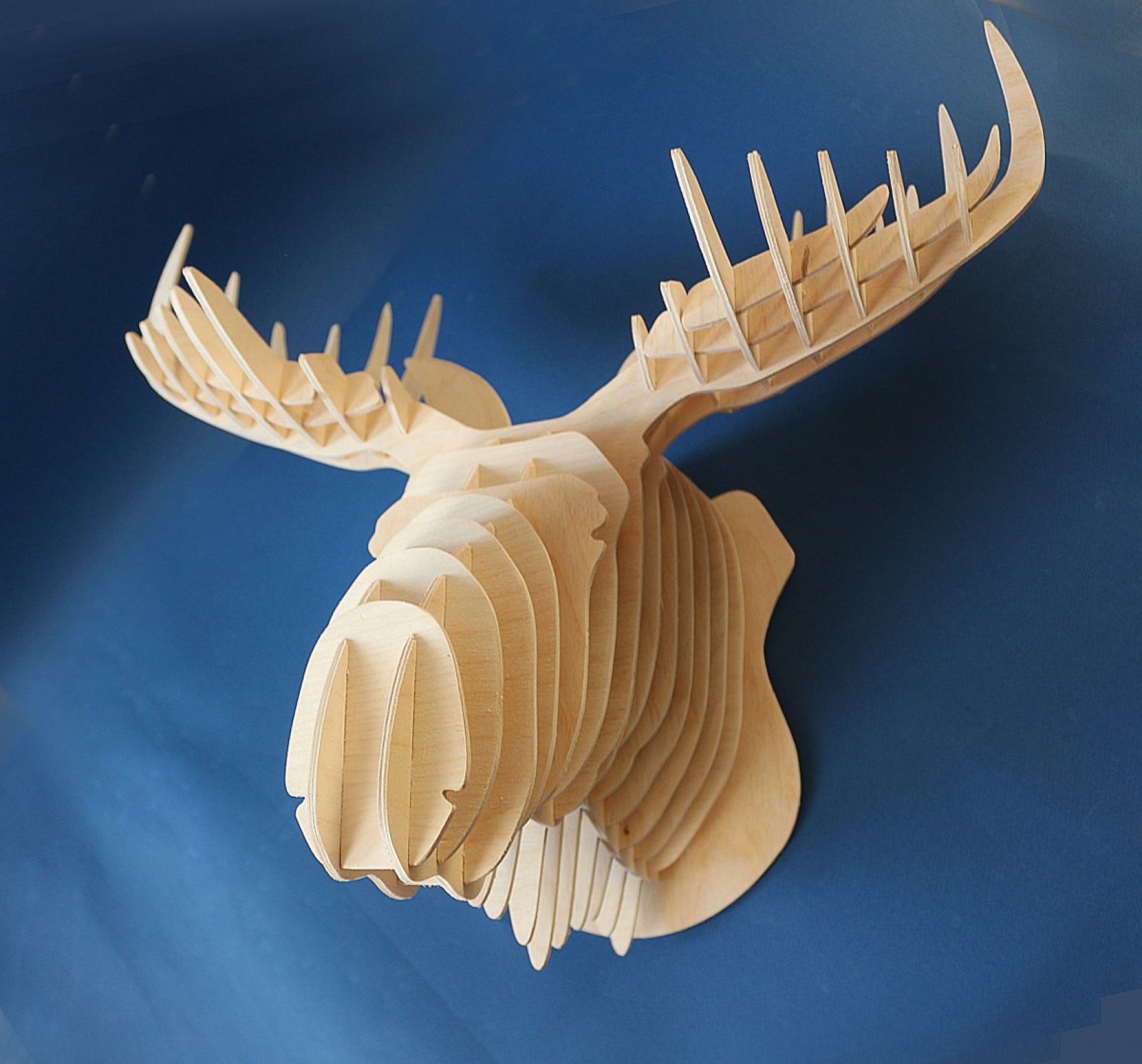 Голова лося