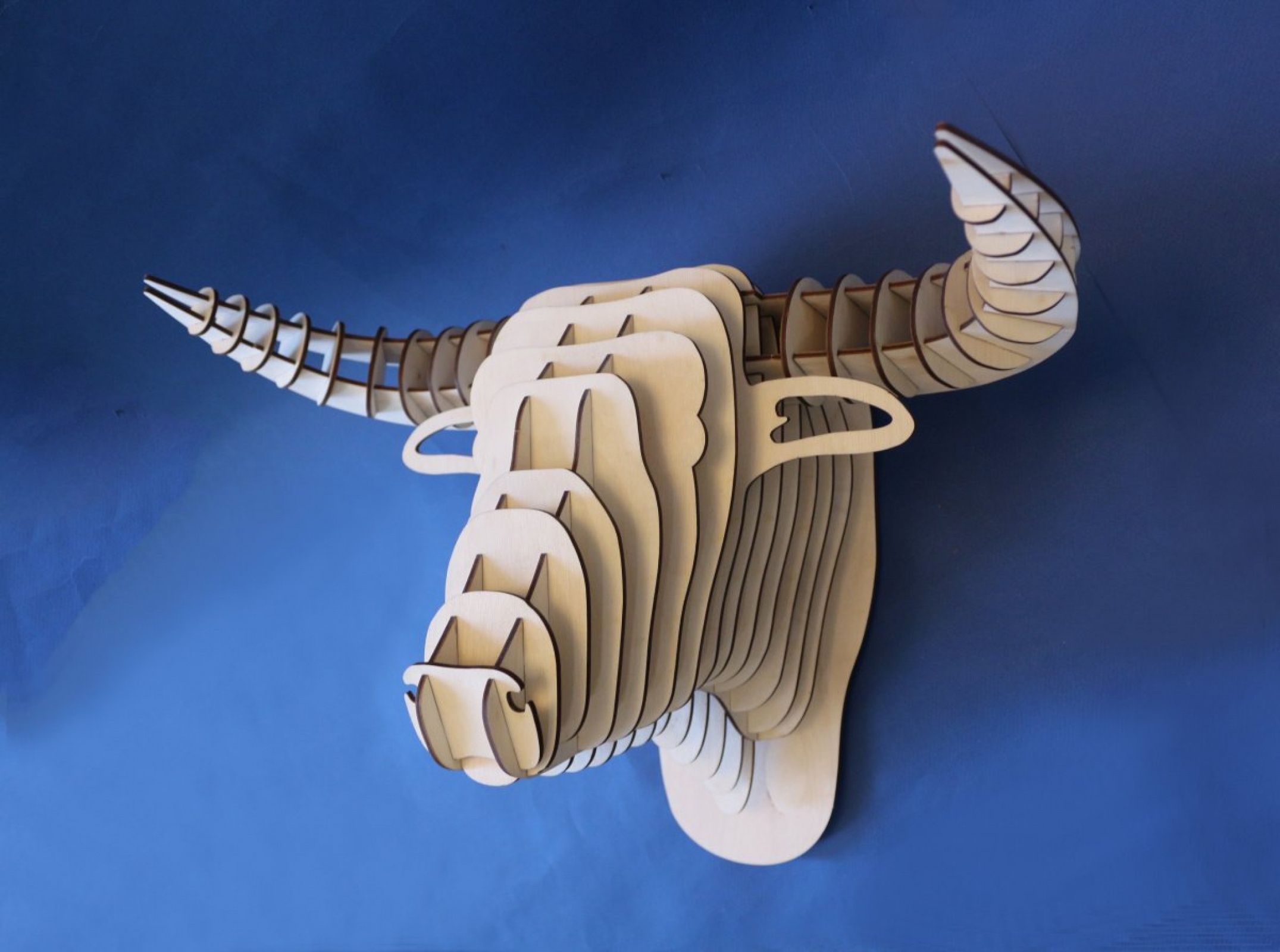 Голова быка 3