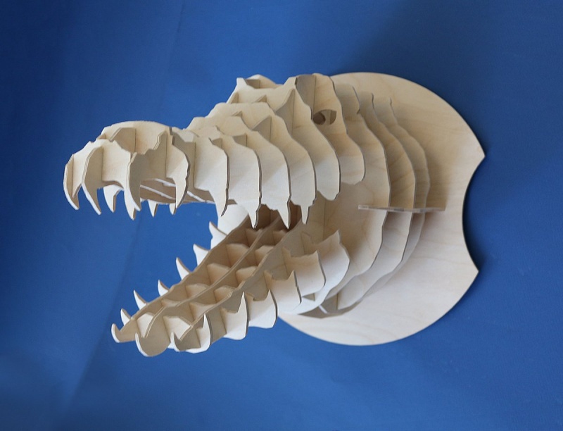 Голова Крокодила