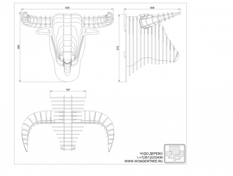 Голова быка 3